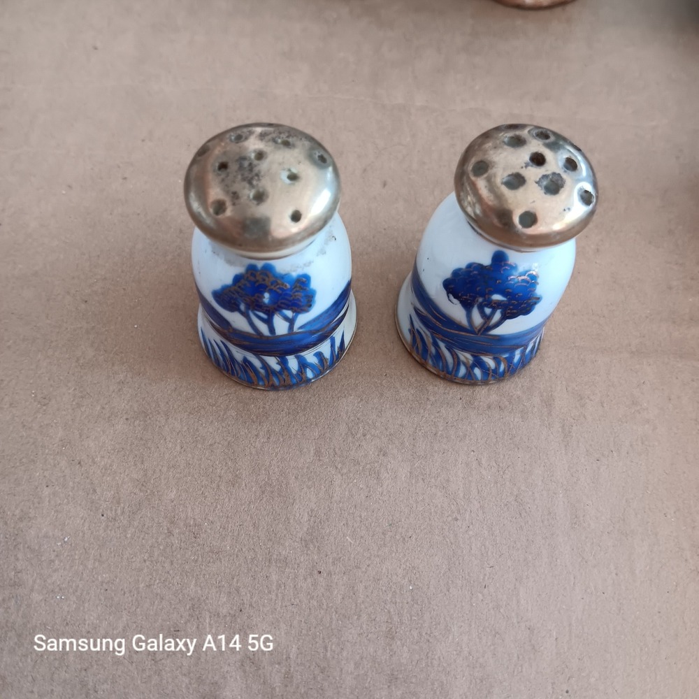 Vintage Nippon Hand Painted Blue White Landscape Salt Pepper Shakers Set Japan